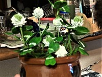 img_20220627-212329.jpg