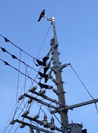 img_20230329-212041.jpg