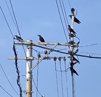 img_20230329-212057.jpg