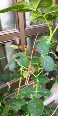 img_20230530-195653.jpg