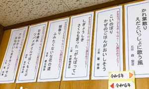 img_20240627-095434.jpg