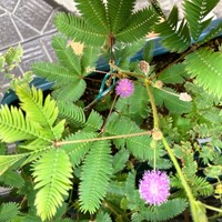 img_20240827-080427.jpg
