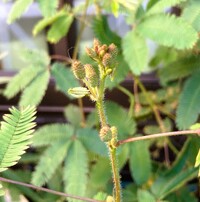 img_20240905-055336.jpg