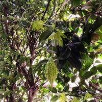 img_20241028-080550.jpg