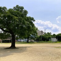 img_20250702-054746.jpg
