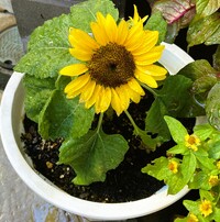 img_20250802-074705.jpg
