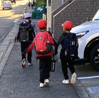 img_20251106-124230.jpg