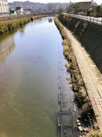 img_20260122-101114.jpg