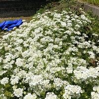 img_20260511-075734.jpg