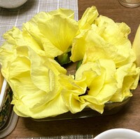 img_20260827-061027.jpg