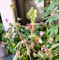 img_20260929-105616.jpg