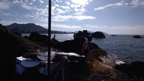 img_20201107-120327.jpg