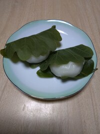 img_20210505-090021.jpg