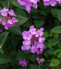 img_20211108-004417.jpg