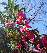 img_20211117-004255.jpg