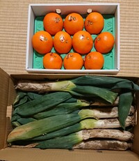 img_20211217-062017.jpg