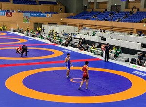 img_20191005-235525.jpg