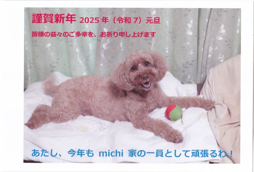 71g4Z-HQDZL._UF350,350_QL50_.jpg