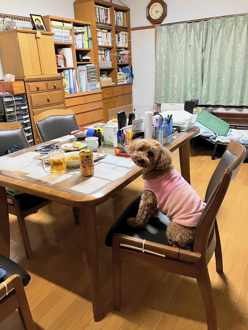 ピピちゃん日記 - ソロツーリストの小部屋へ、ようこそ！！