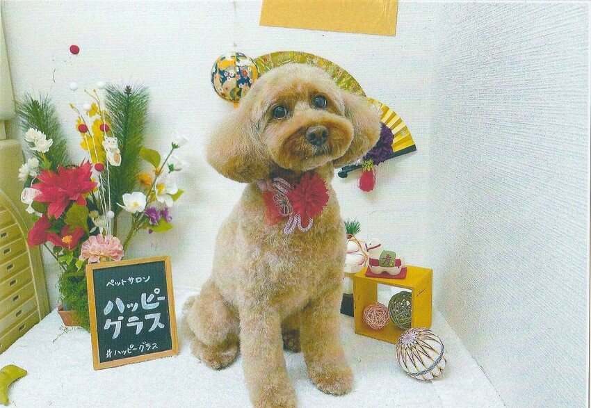 ピピちゃん日記 - ソロツーリストの小部屋へ、ようこそ！！