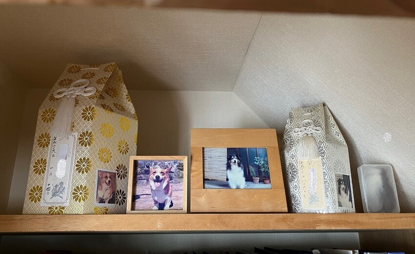 ピピちゃん日記 - ソロツーリストの小部屋へ、ようこそ！！