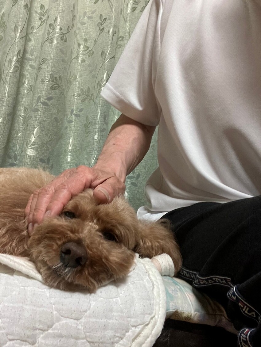 ピピちゃん日記 - ソロツーリストの小部屋へ、ようこそ！！
