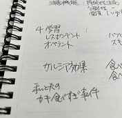ガルシア効果