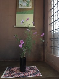 img_20181204-015044.jpg