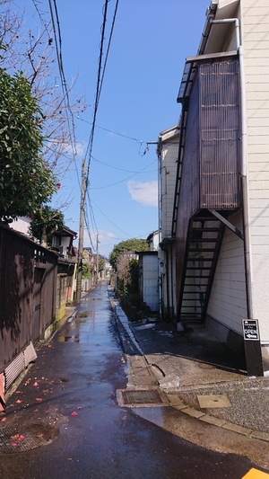 img_20200321-074048.jpg