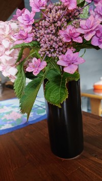 img_20200629-140538.jpg