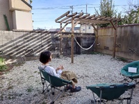 img_20210302-120308.jpg