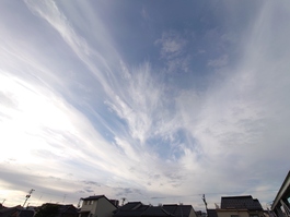 img_20211031-072427.jpg
