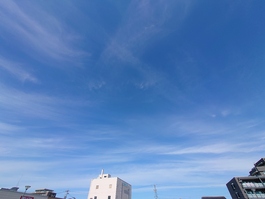 img_20211031-072804.jpg