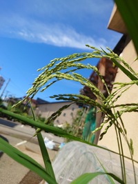 img_20220909-134718.jpg