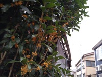img_20221030-071439.jpg