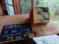img_20221030-071519.jpg