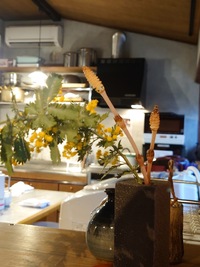 img_20240331-221745.jpg