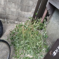 img_20240901-135631.jpg