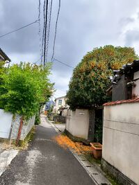 img_20251101-215120.jpg