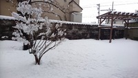 img_20260131-170942.jpg