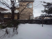 img_20260131-171006.jpg
