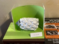 img_20260208-173049.jpg