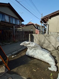 img_20260228-204005.jpg