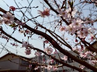 img_20260402-163705.jpg