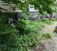 img_20260621-220806.jpg