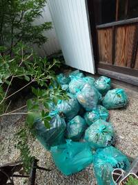 img_20260621-221025.jpg