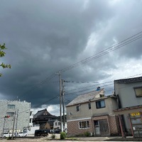img_20260730-202655.jpg