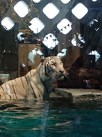 img_20190624-055321.jpg