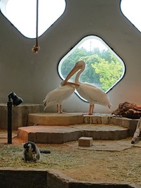 img_20190624-055335.jpg