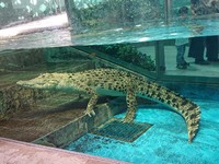 img_20190624-055352.jpg